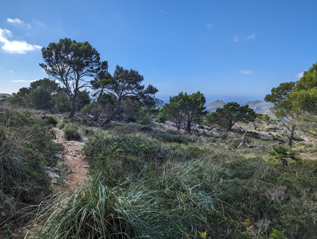 Etappe 3 op de GR221 - Wandelen op Mallorca - Spanje Etappe 3 op de GR221 - Wandelen op Mallorca - Spanje