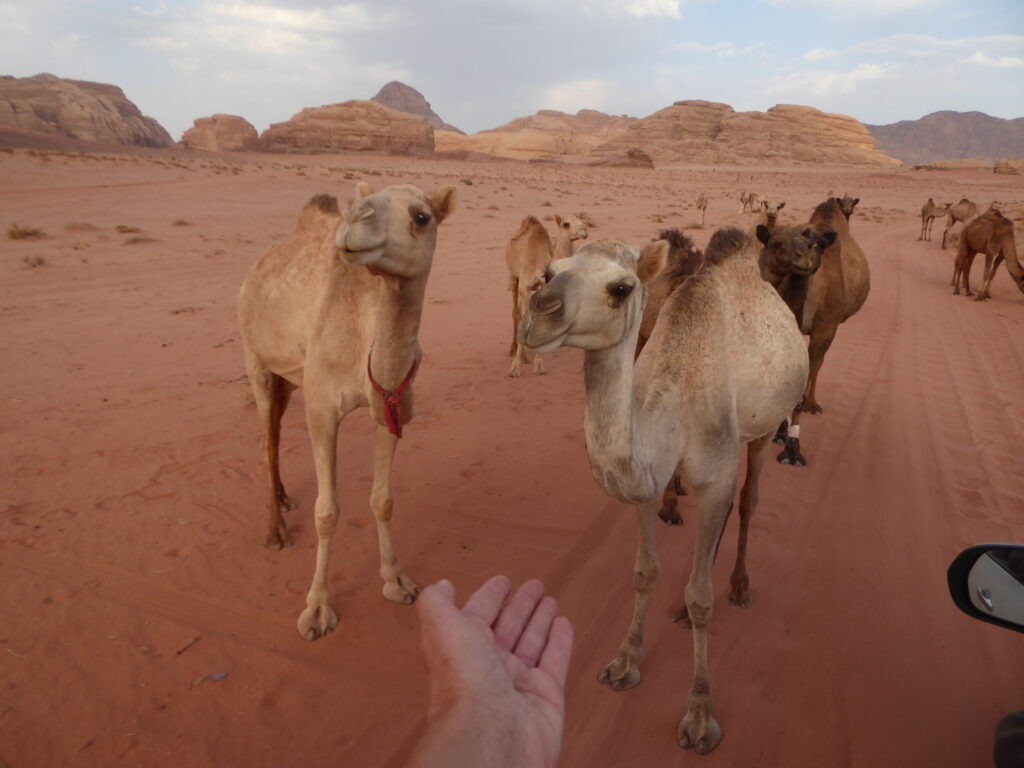Zinvol Reizen - Zinvolle reis naar Jordanie Zinvol Reizen - Zinvolle reis naar Jordanie