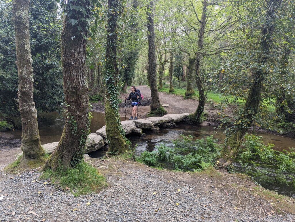 Wandelen in de mooie bossen van Galicie - Camino Frances, Spanje