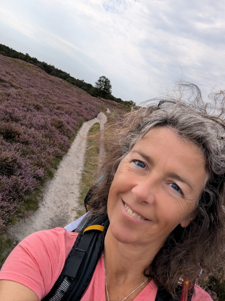 De Paarse heide in natuurpark De Drentsche Aa Pieterpad etappe 4 Zuidlaren naar Rolde De Paarse heide in natuurpark De Drentsche Aa Pieterpad etappe 4 Zuidlaren naar Rolde