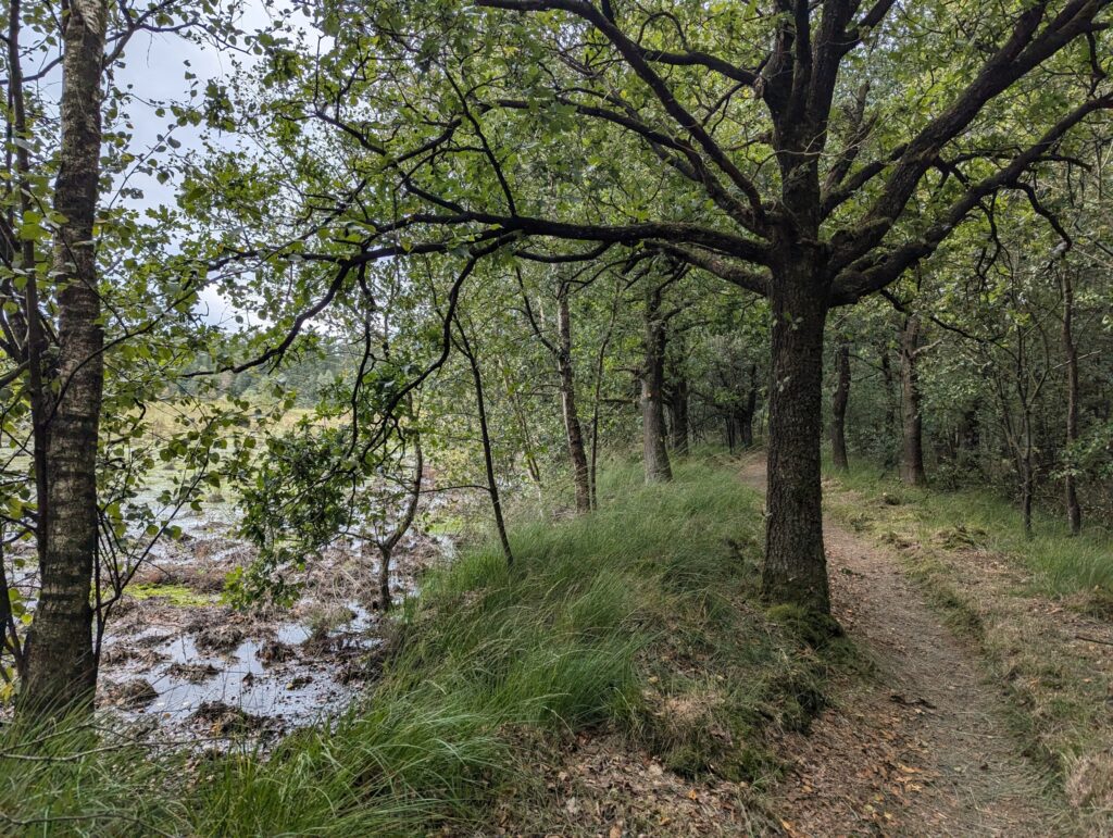 10 dagen op het Pieterpad - Wandelen in Nederland 10 dagen op het Pieterpad - Wandelen in Nederland