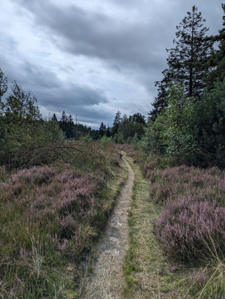 10 dagen op het Pieterpad - Wandelen in Nederland 10 dagen op het Pieterpad - Wandelen in Nederland