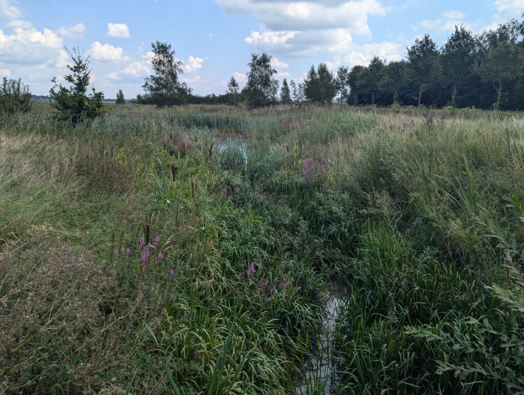Wandelen op het Pieterpad - 10 dagen pelgrimeren in Nederland Wandelen op het Pieterpad - 10 dagen pelgrimeren in Nederland