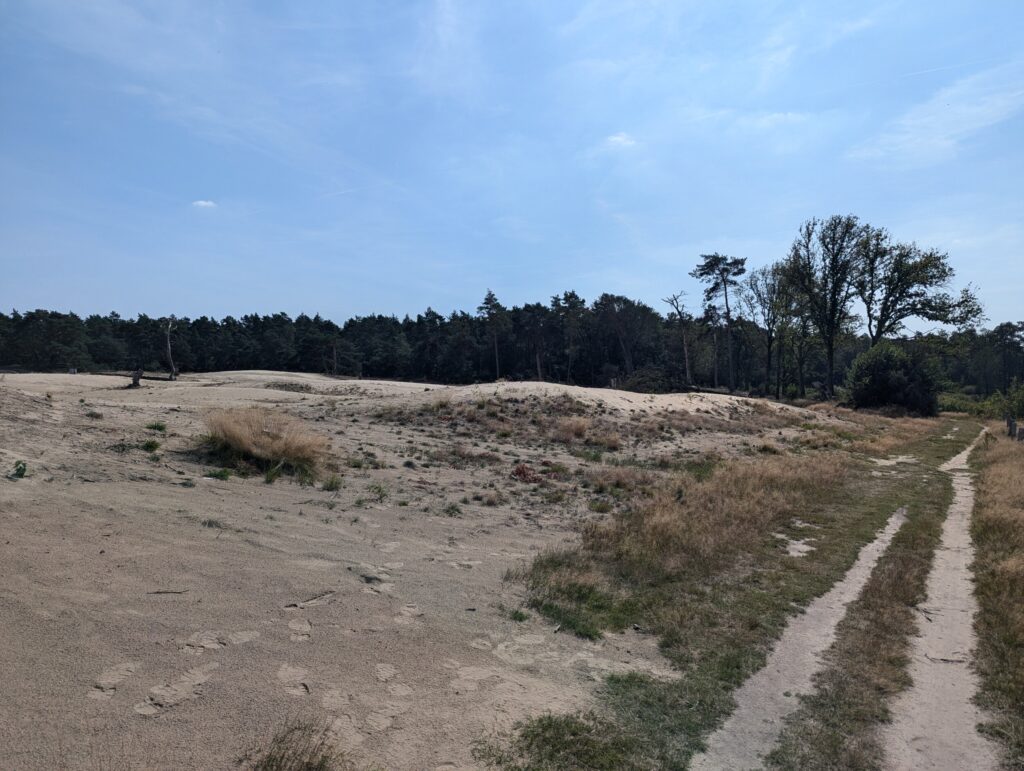 Zandverstuiving bij Junne - Onderweg op het Pieterpad Zandverstuiving bij Junne - Onderweg op het Pieterpad
