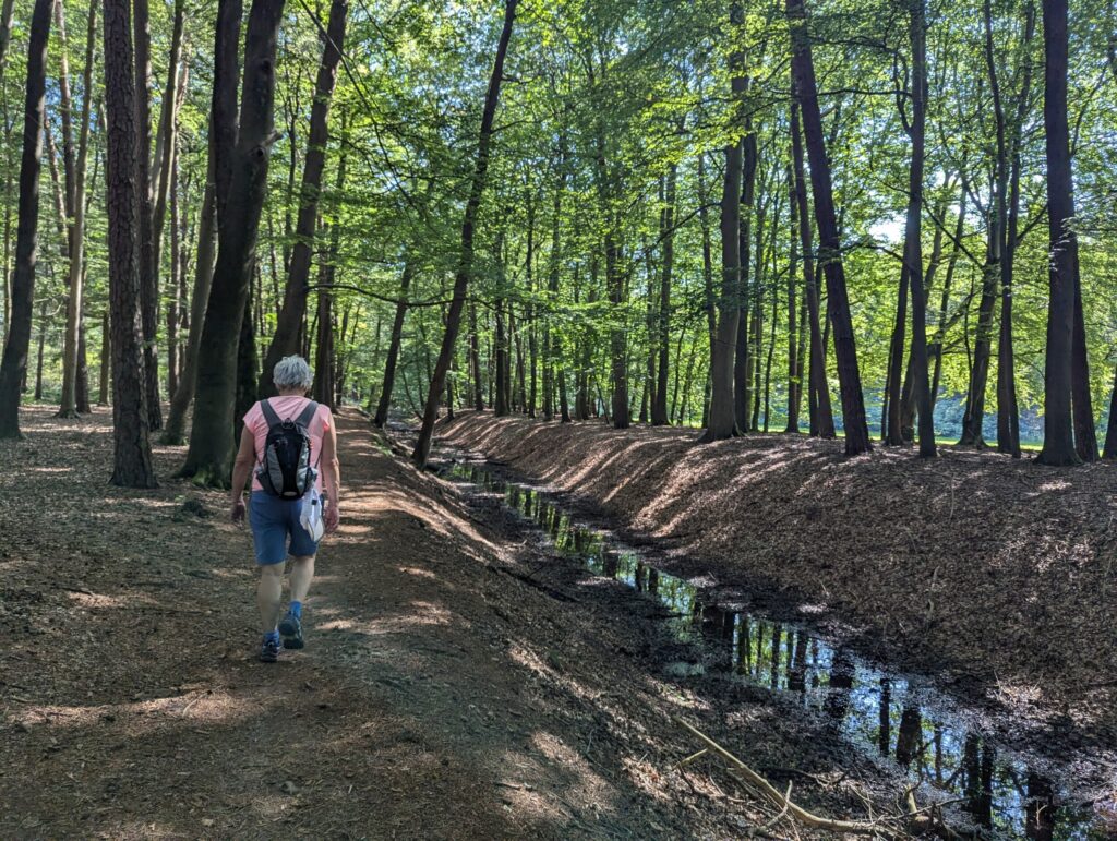 De oude Boksloot die leidt naar landgoed Elerberg - Pieterpad Hellendoorn De oude Boksloot die leidt naar landgoed Elerberg - Pieterpad Hellendoorn