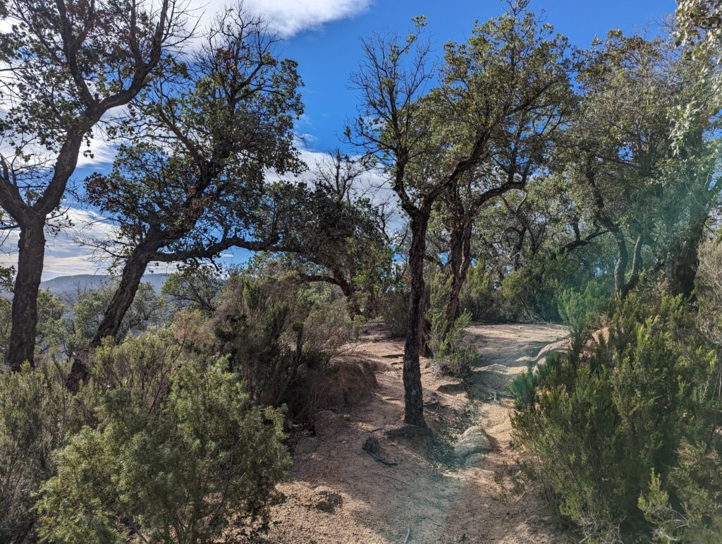 Wandelen langs de Catalaanse kust - Costa Brava, Spanje Wandelen langs de Catalaanse kust - Costa Brava, Spanje