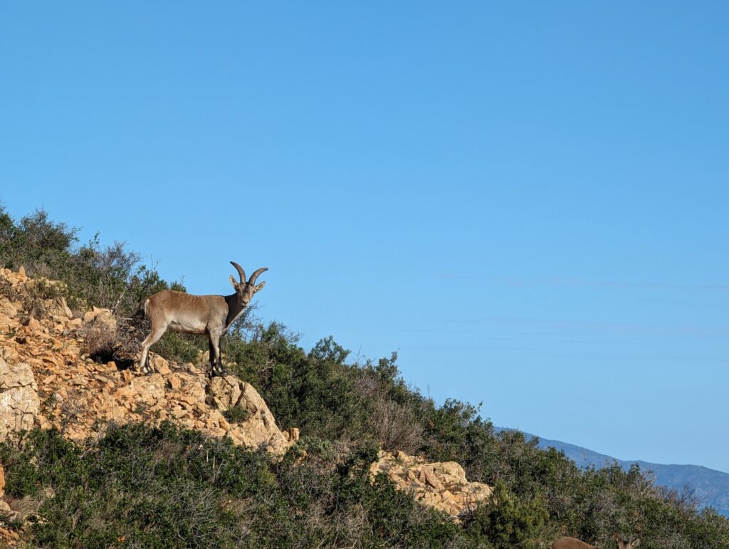 Wandelen langs de Catalaanse kust - Costa Brava, Spanje Wandelen langs de Catalaanse kust - Costa Brava, Spanje